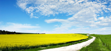 Clean energy for a brighter future