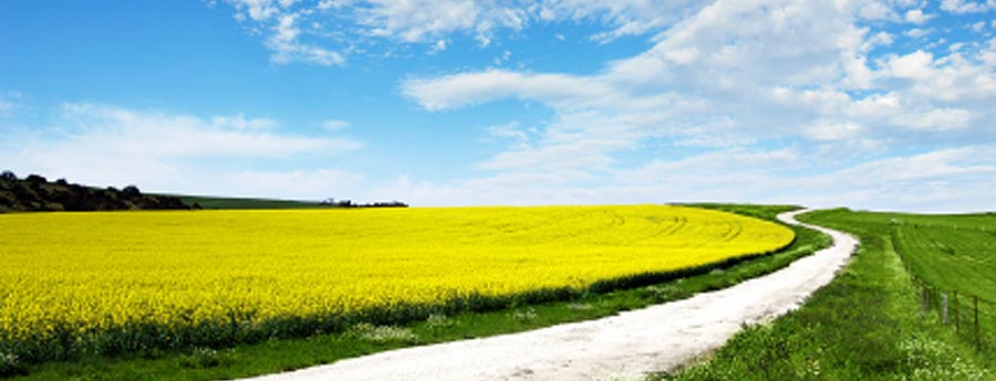 ISCC sustainability & reduction of greenhouse emmissions